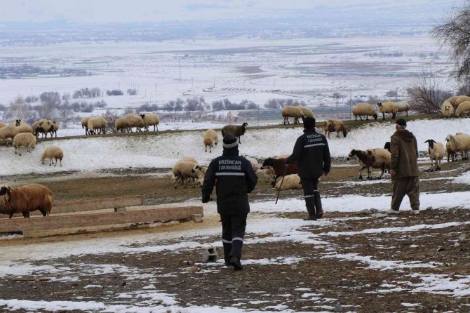 Karlı yolları aşıp besicilere ulaşıyorlar