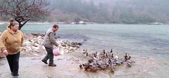 Yaban hayvanları için 50 kilogram yem bırakıldı