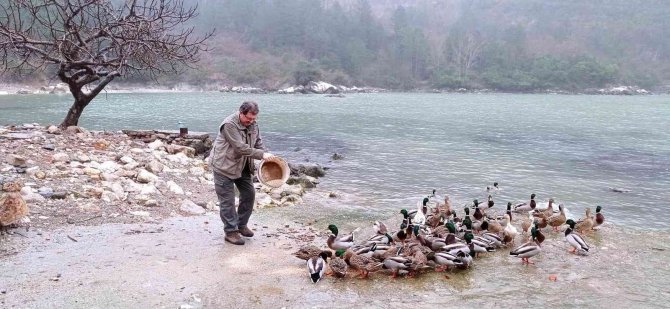 Yaban hayvanları için 50 kilogram yem bırakıldı