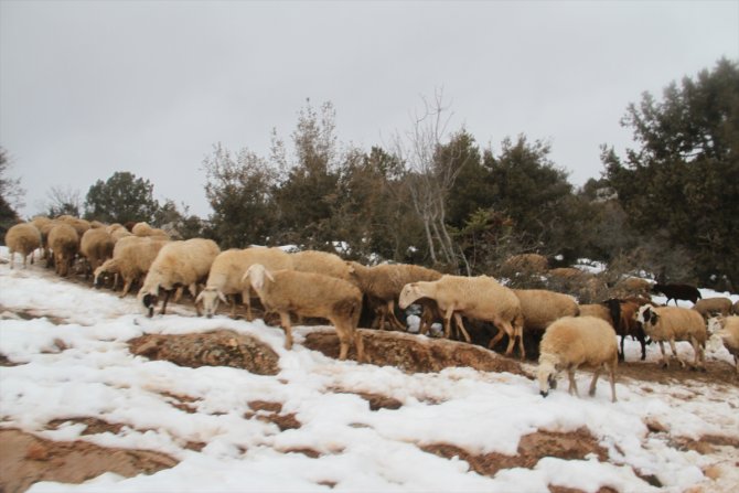 Beyşehir'de koyunların içme su ihtiyacı güneş ve rüzgar enerjisinden karşılanıyor