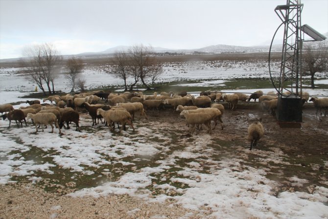 Beyşehir'de koyunların içme su ihtiyacı güneş ve rüzgar enerjisinden karşılanıyor
