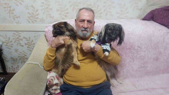 Her yerde kaybolan köpeklerini arıyorlar