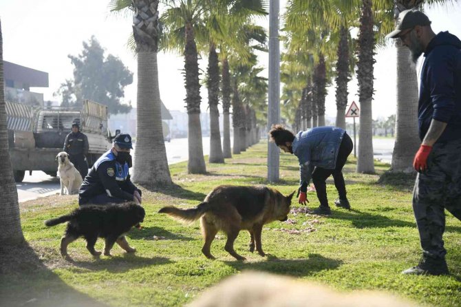 Adana’da sokak hayvanları unutulmadı