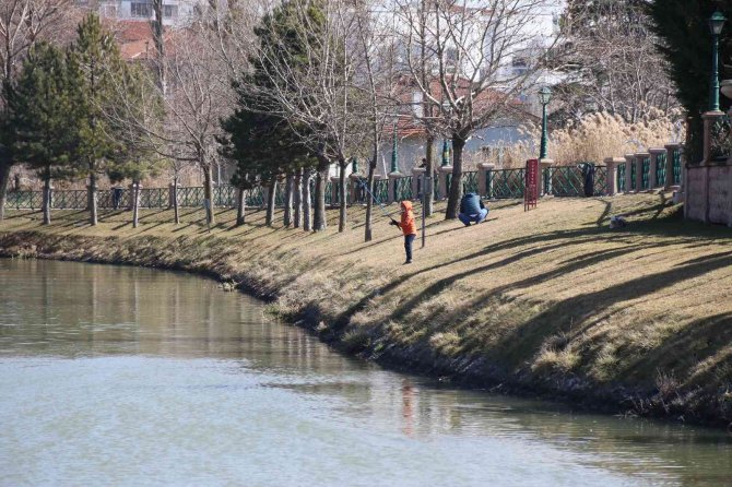 Güneşli havayı gören oltasını çıkardı