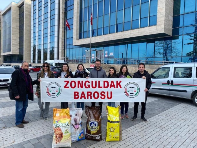 Zonguldak Barosu avukatları sokak hayvanlarını besledi