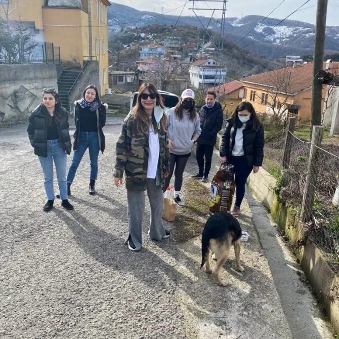 Zonguldak Barosu avukatları sokak hayvanlarını besledi