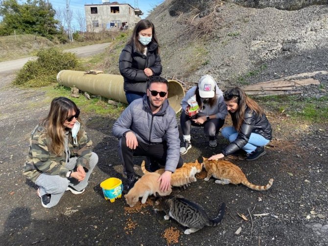 Zonguldak Barosu avukatları sokak hayvanlarını besledi