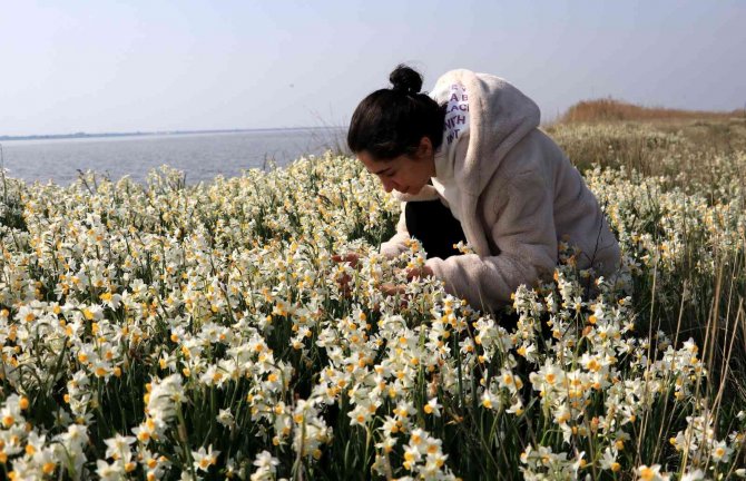 Adana’nın saklı cenneti: "Nergis Adası"