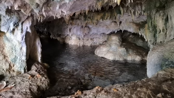 Hayvanlarını otlatırken binlerce yıllık mağarayı buldular