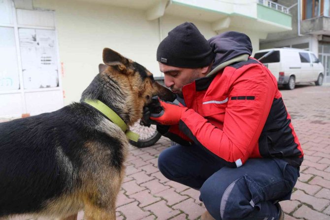 Temizlik işçisi ile köpeğin kıskandıran dostluğu