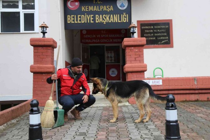 Temizlik işçisi ile köpeğin kıskandıran dostluğu