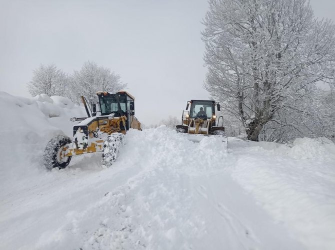 Ordu’da kar mücadelesi