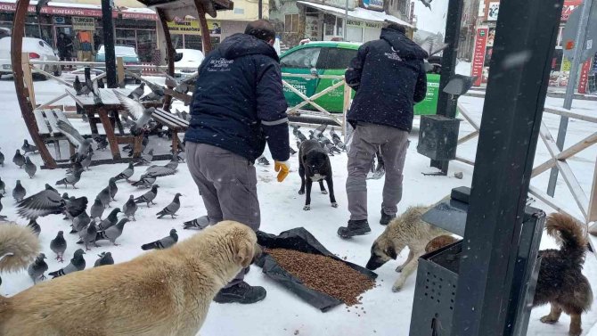 Sokak hayvanlarını besleme seferberliği