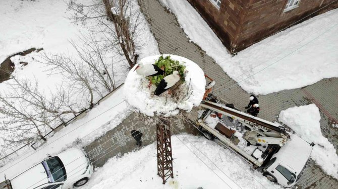 VEDAŞ ekipleri, karla kaplı leylek yuvalarına yem bıraktı