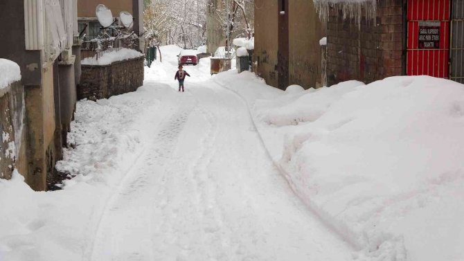 Muş’ta 113 köy yolu ulaşıma kapandı