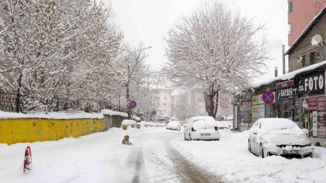 Muş’ta 113 köy yolu ulaşıma kapandı