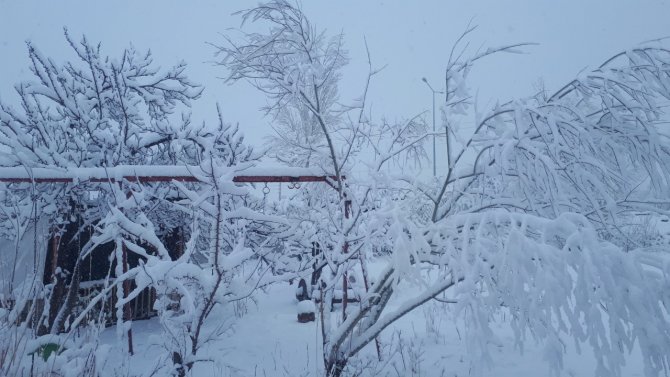 Tuzluca’da kar yağışı etkili oluyor