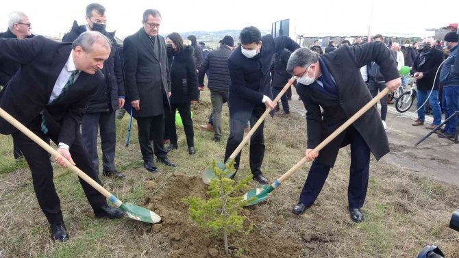 Sinop’ta 400 fidan toprakla buluştu