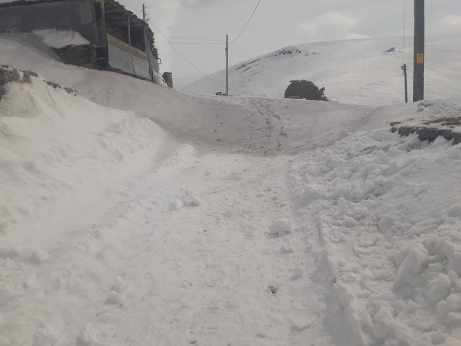 Ardahan-Şavşat karayolu ulaşıma kapandı: Bir ilçede okullar tatil edildi