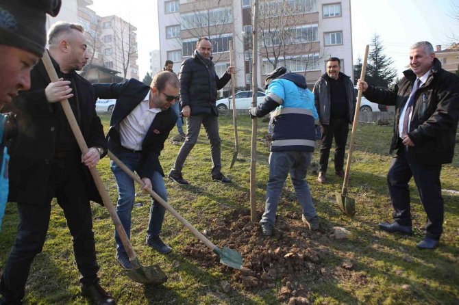 Fidanlar toprakla buluştu