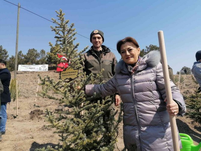 Kütahya’da bin 500 fidan toprakla buluştu