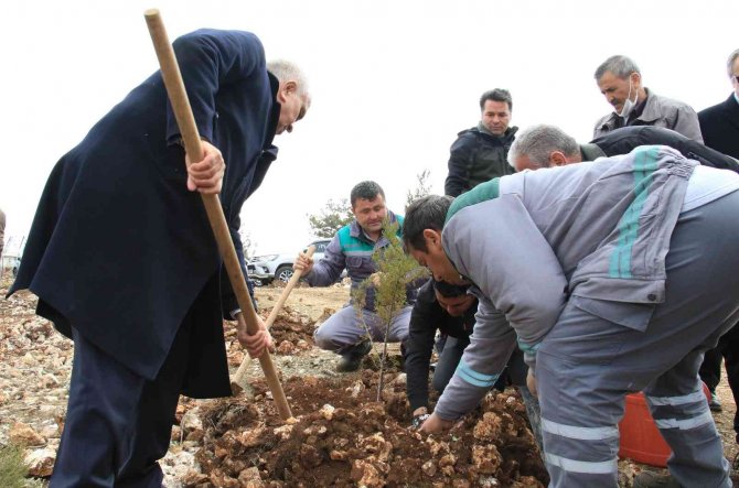 Şehitler adına iki orman kuruldu, ilk fidanları aileleri dikti