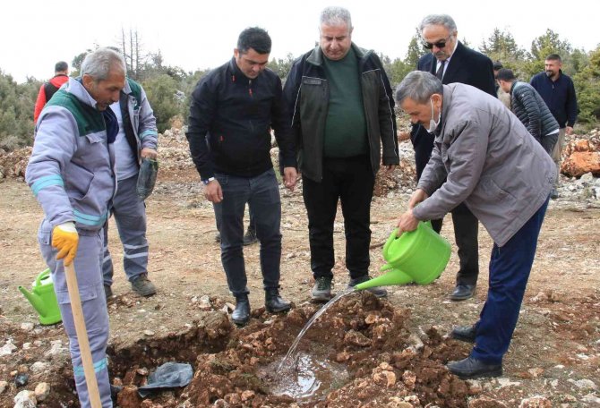 Şehitler adına iki orman kuruldu, ilk fidanları aileleri dikti