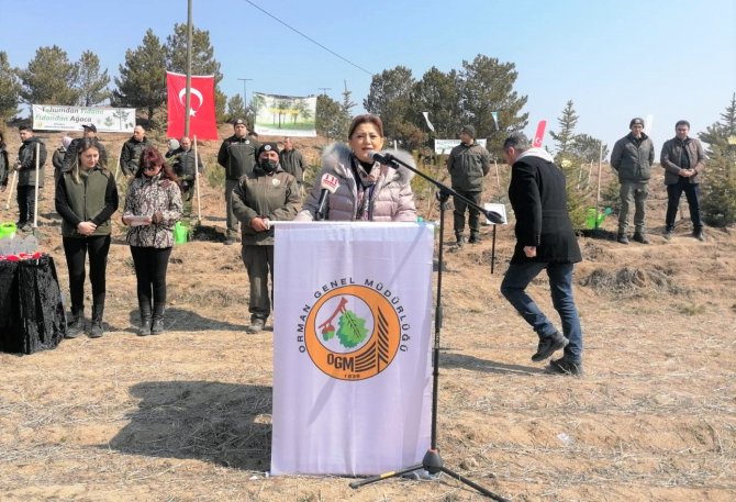 "Kütahya, orman ve tabiat varlığı bakımından Türkiye ve dünya ortalamasının üzerinde"