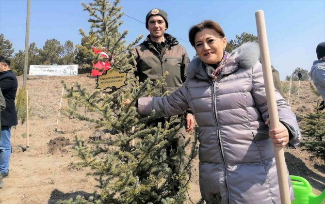 "Kütahya, orman ve tabiat varlığı bakımından Türkiye ve dünya ortalamasının üzerinde"