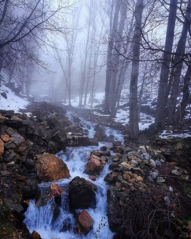 Köyde sis güzelliği