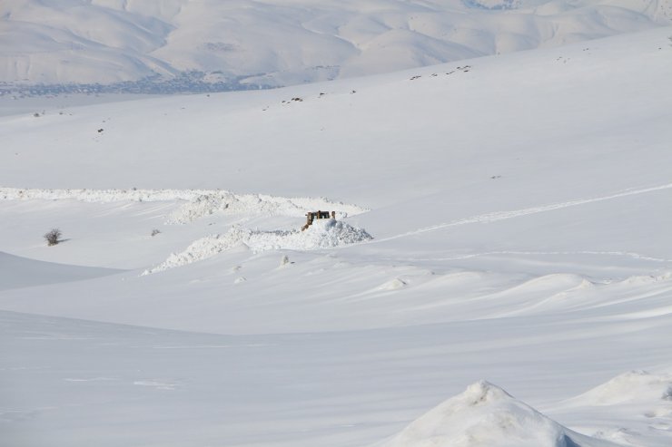 Yol açıldı, hayvanların aç kaldığı mezraya saman ulaştırıldı