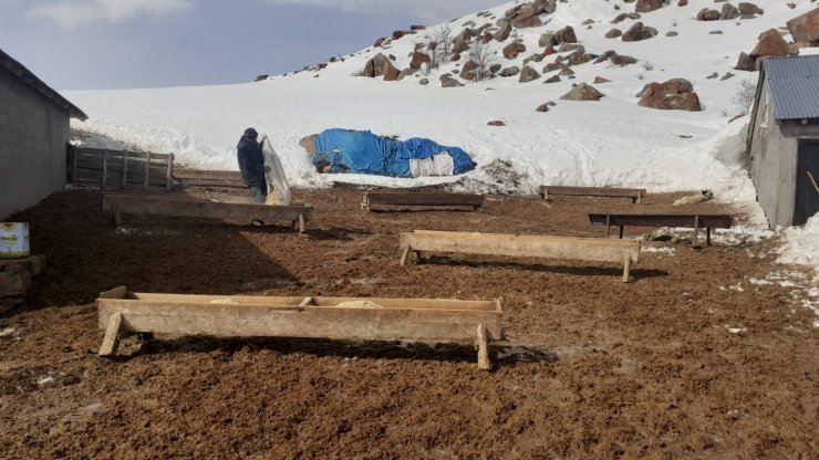 Yol açıldı, hayvanların aç kaldığı mezraya saman ulaştırıldı