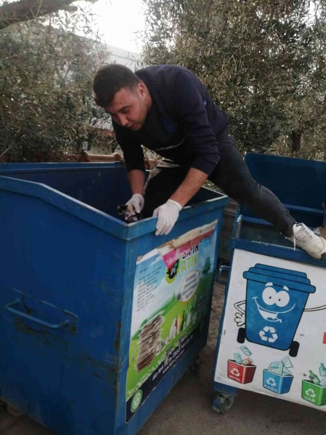 Çöp toplarken konteynırda yavru kedilerle karşılaştı