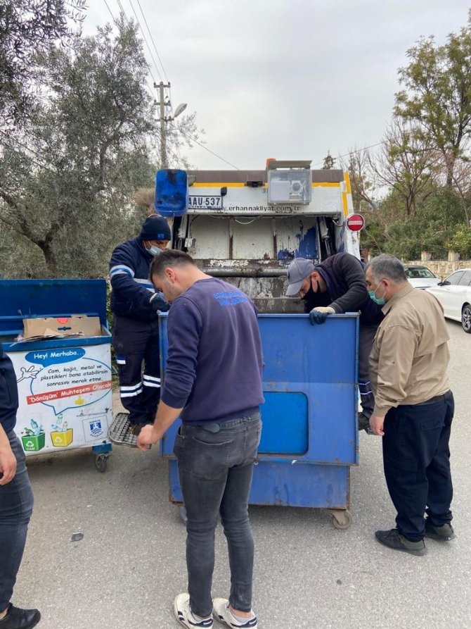 Çöp toplarken konteynırda yavru kedilerle karşılaştı