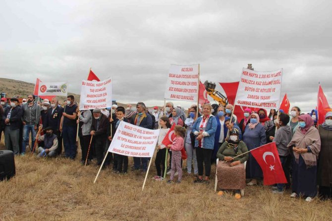 Habitat harikası göl, maden ocağı tehdidi altında