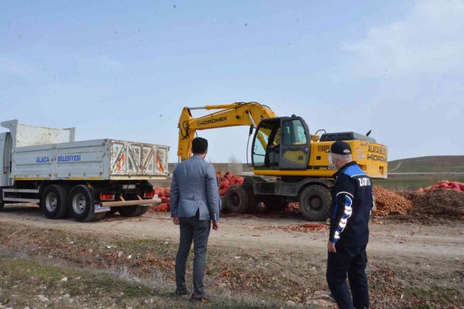 Yol kenarına dökülen tonlarca soğan havadan görüntülendi