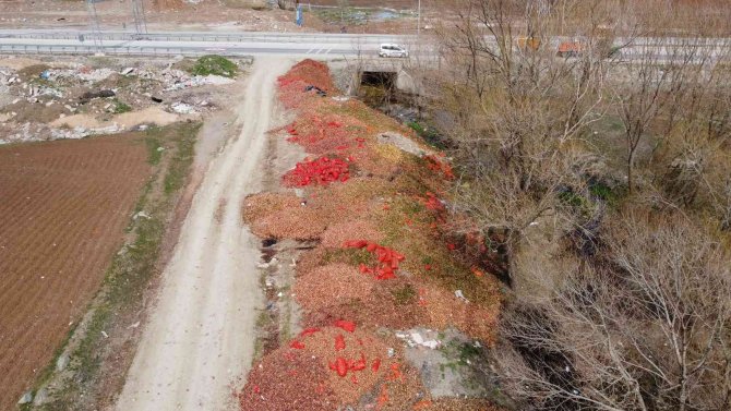 Yol kenarına dökülen tonlarca soğan havadan görüntülendi