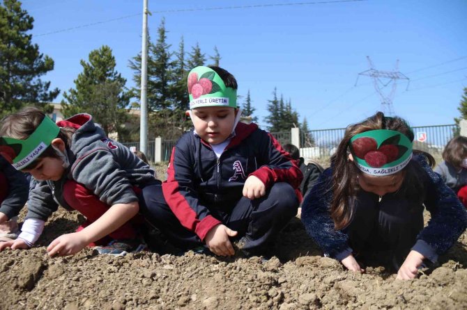 Çocuklar mor patates tohumlarını toprakla buluşturdu