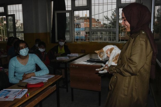 Tedavi edilen kediler, okulun maskotu oldu