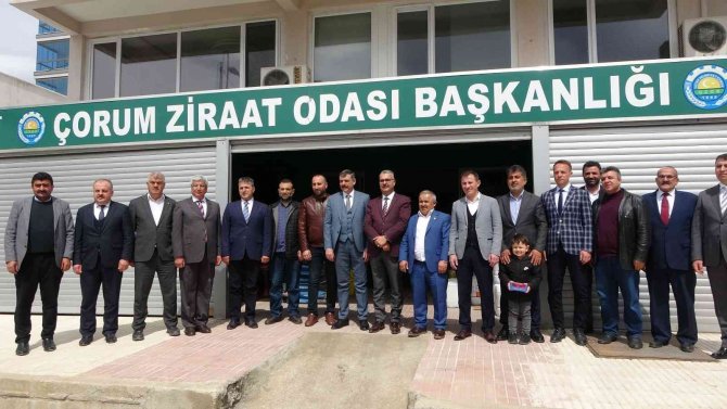 Çiftçilere ücretsiz sahlep ve badem fidanı dağıtıldı