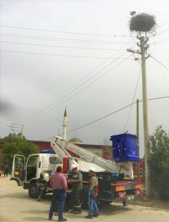 Maske atıkları, leylekleri tehdit ediyor