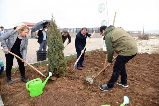 Tedavileri tamamlanan şahinler doğaya salındı