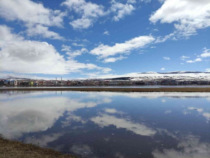 Nehir taştı, Ardahan ovası sular altında kaldı