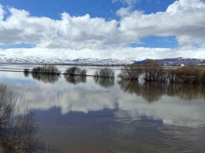 Nehir taştı, Ardahan ovası sular altında kaldı