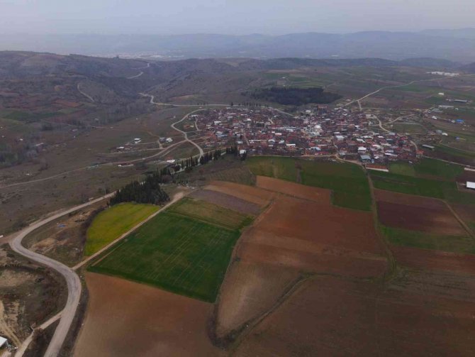 Çiçek açan meyve ağaçları kartpostallık görüntüler oluşturdu