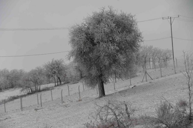 İlkbahar karı görsel şölen oluşturdu