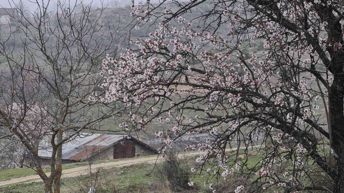 Kar yağışı yüksek kesimlerde etkisini sürdürüyor