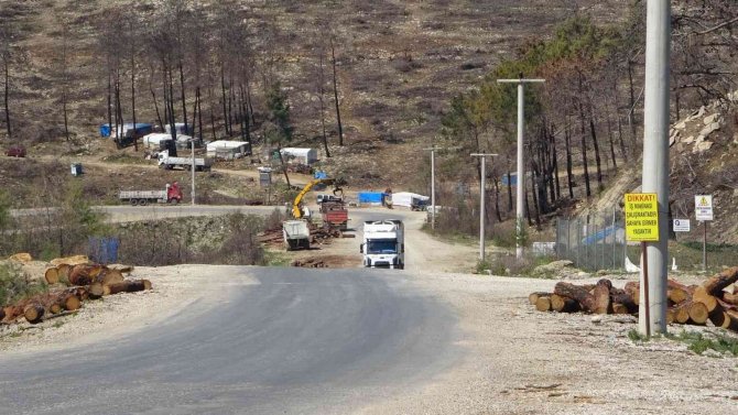 Manavgat’ta yanan ormanların yüzde 70’i ağaçlandırıldı