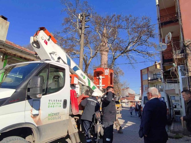 Tele takılan leyleğe itfaiye yardım eli uzattı