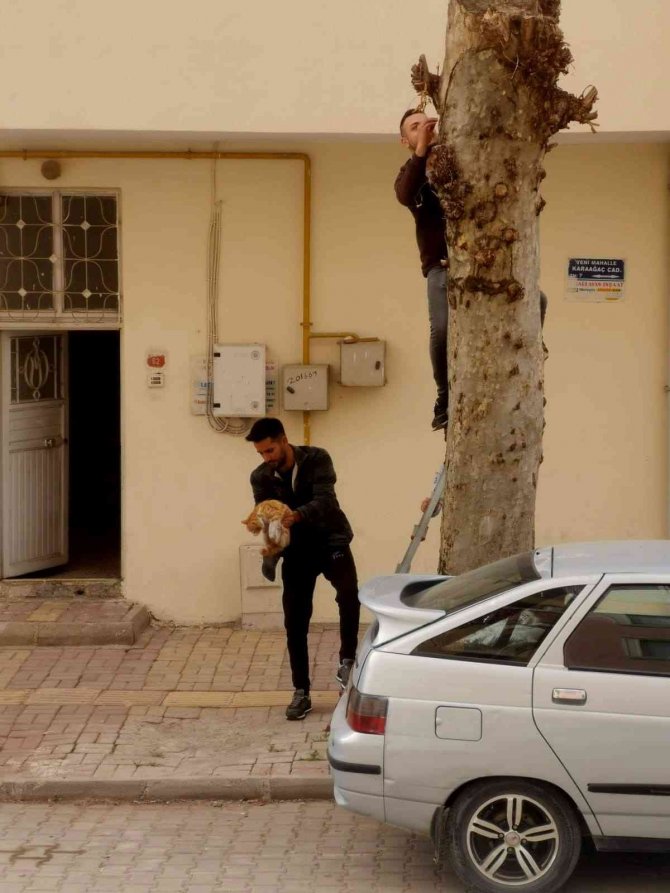 Ağaçta mahsur kalan kediyi esnaf kurtardı